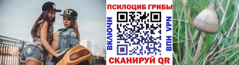 Псилоцибиновые грибы Cubensis  Красновишерск 